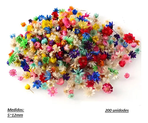 Flores Secas x200un 5-12mm