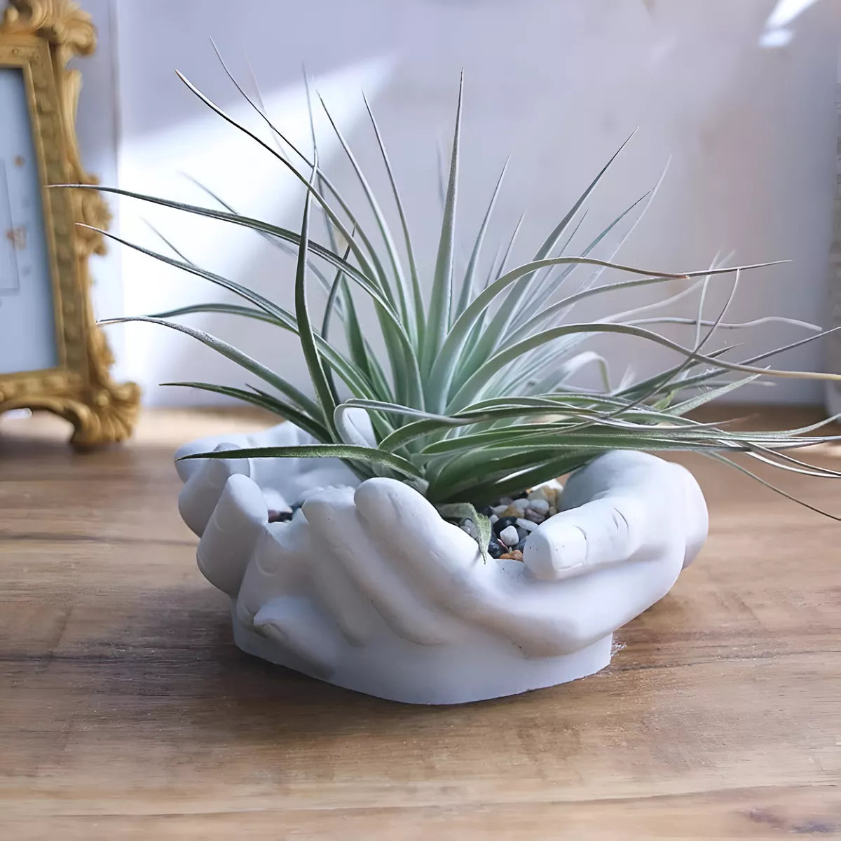 Molde De Manos Maceta Jardin Decoracion Hogar Plantas