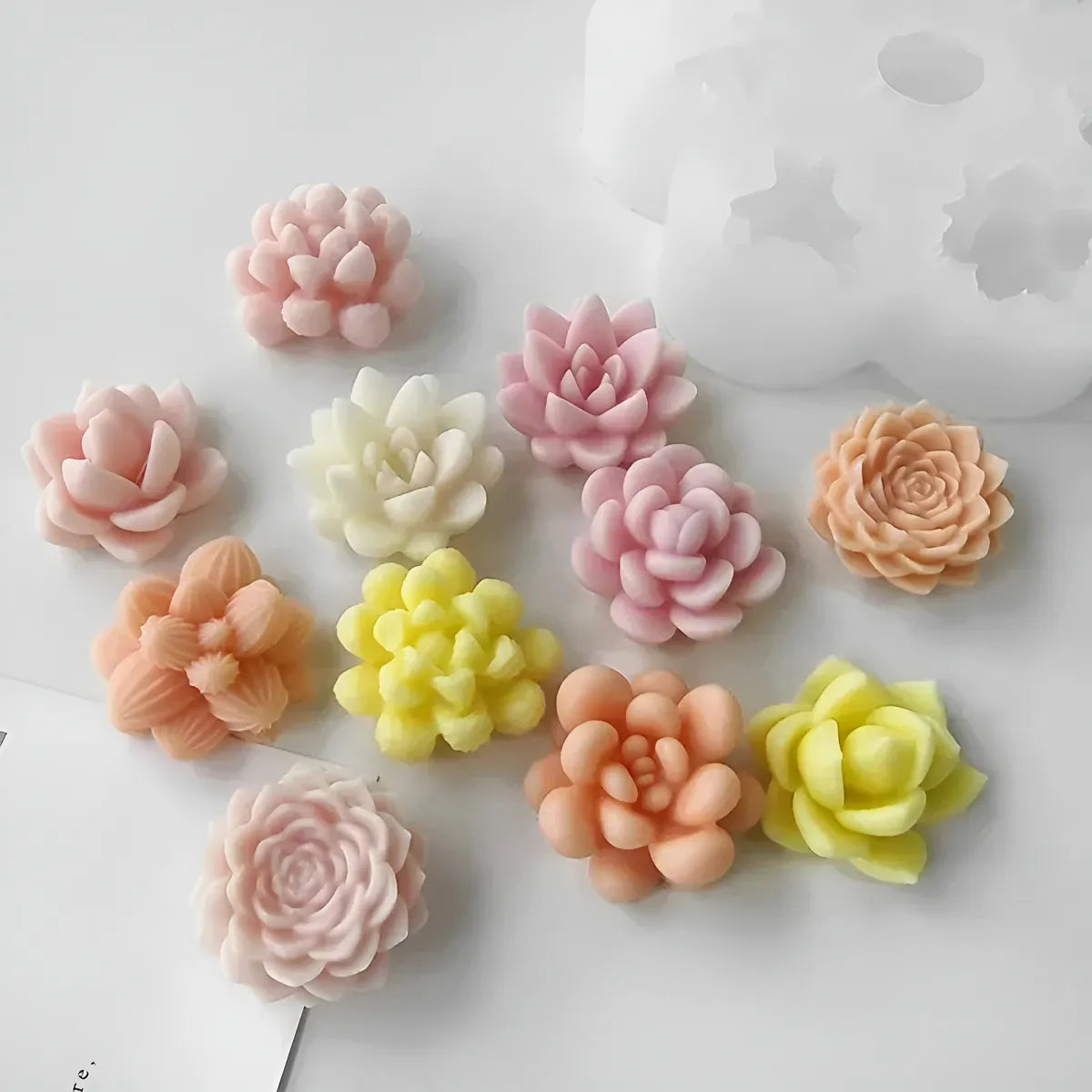 Moldes De Silicona Para Velas Tunas Suculentas Captus Blanco R-016