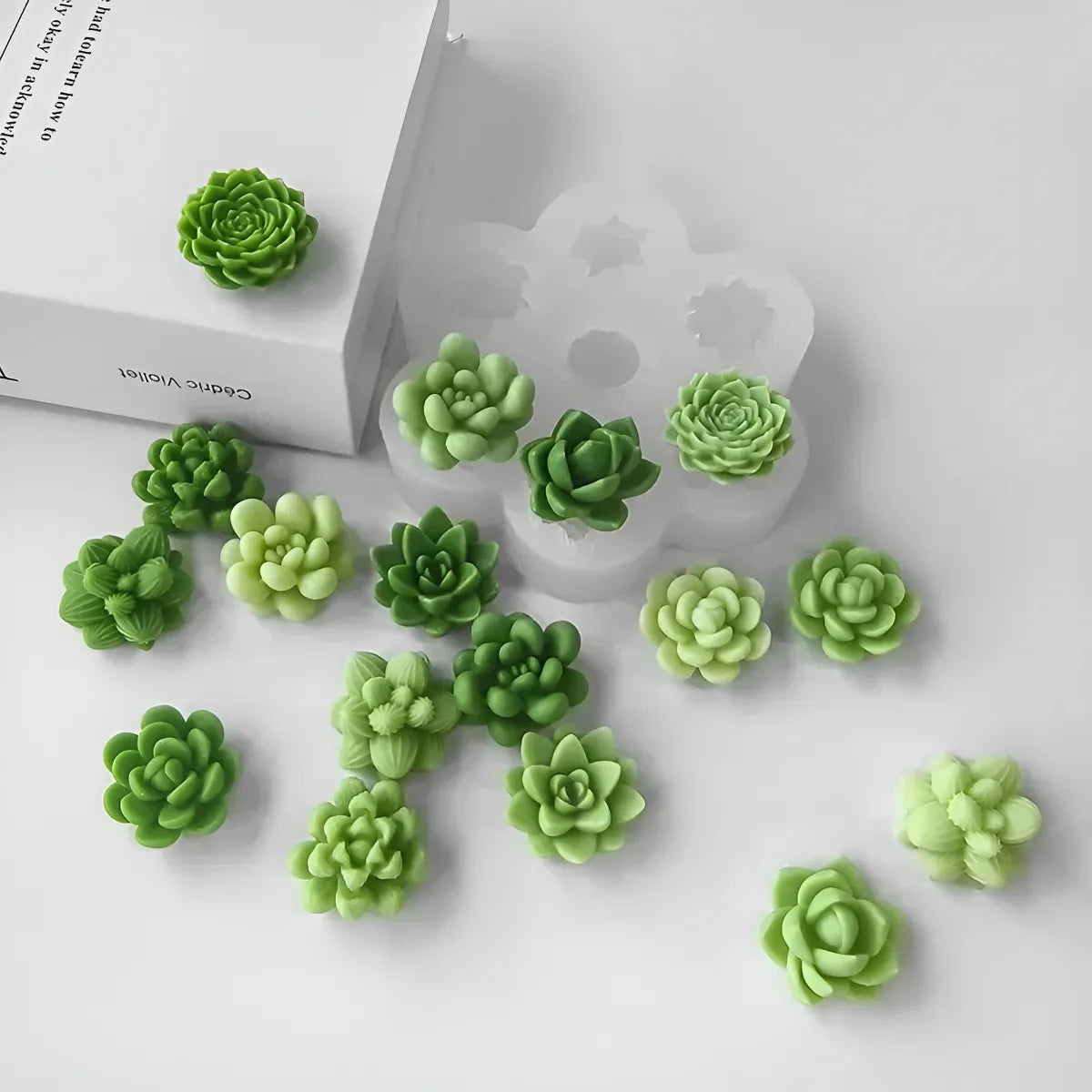 Moldes De Silicona Para Velas Tunas Suculentas Captus Blanco R-016