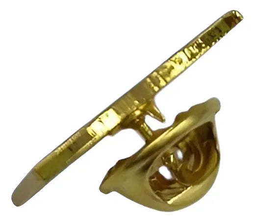 Pin Metálico Bandera Uruguay Para Eventos Broches Uruguay