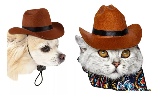 Gorro Sombrero Caballo Para Perros Y Gatos Bromas Disfraz