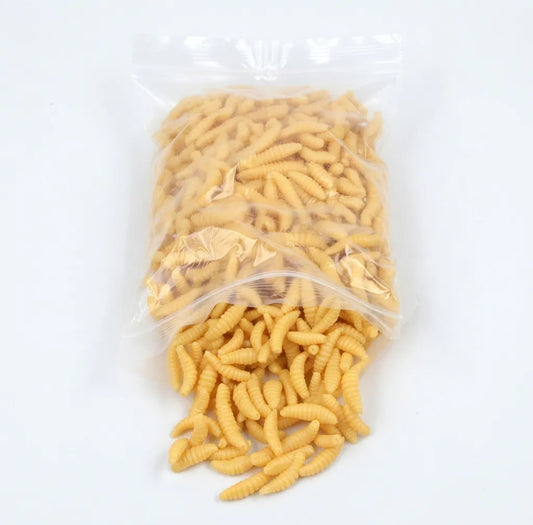 Carnada Guzano Lombriz Pesca Silicona Reutilizable X100un