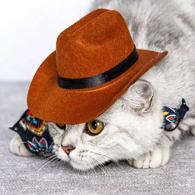 Gorro Sombrero Caballo Para Perros Y Gatos Bromas Disfraz