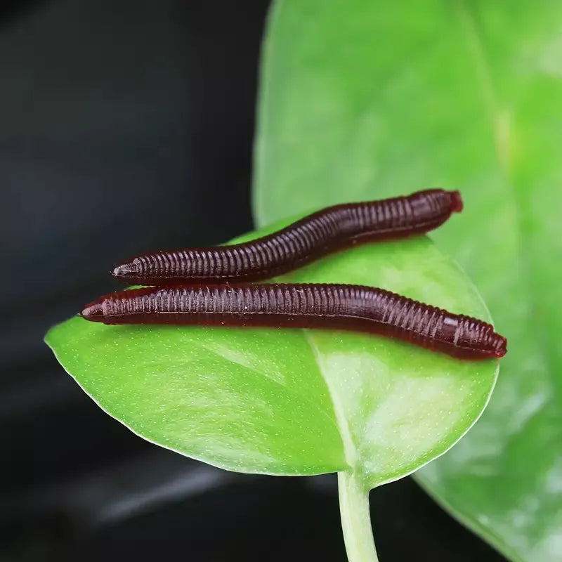 Lombriz Falsa Señuelo De Pesca 4cm Ecologica X100un Carnada o broma Chasco