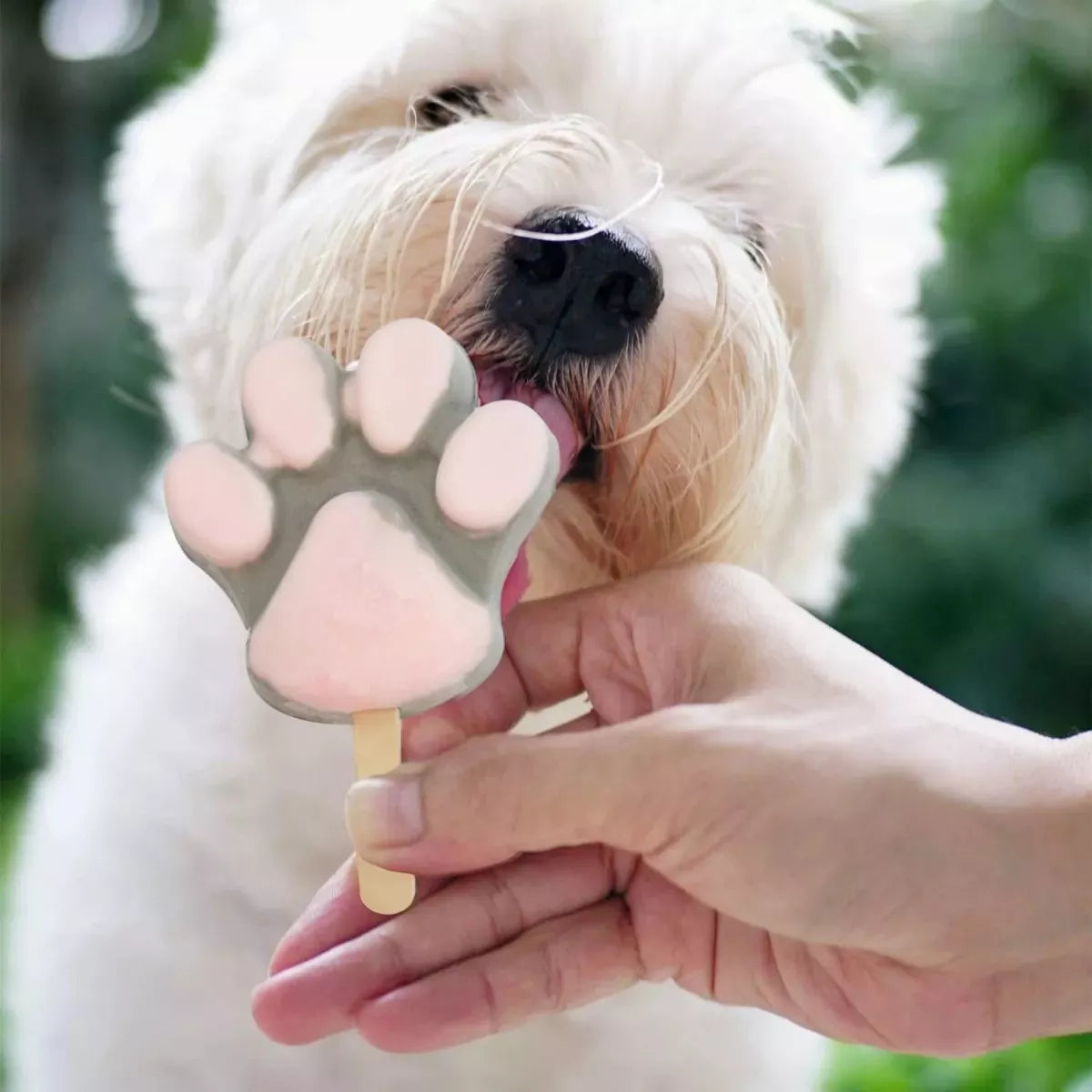 Molde de silicona para hacer helados forma patitas perro + 50 palitos de regalo