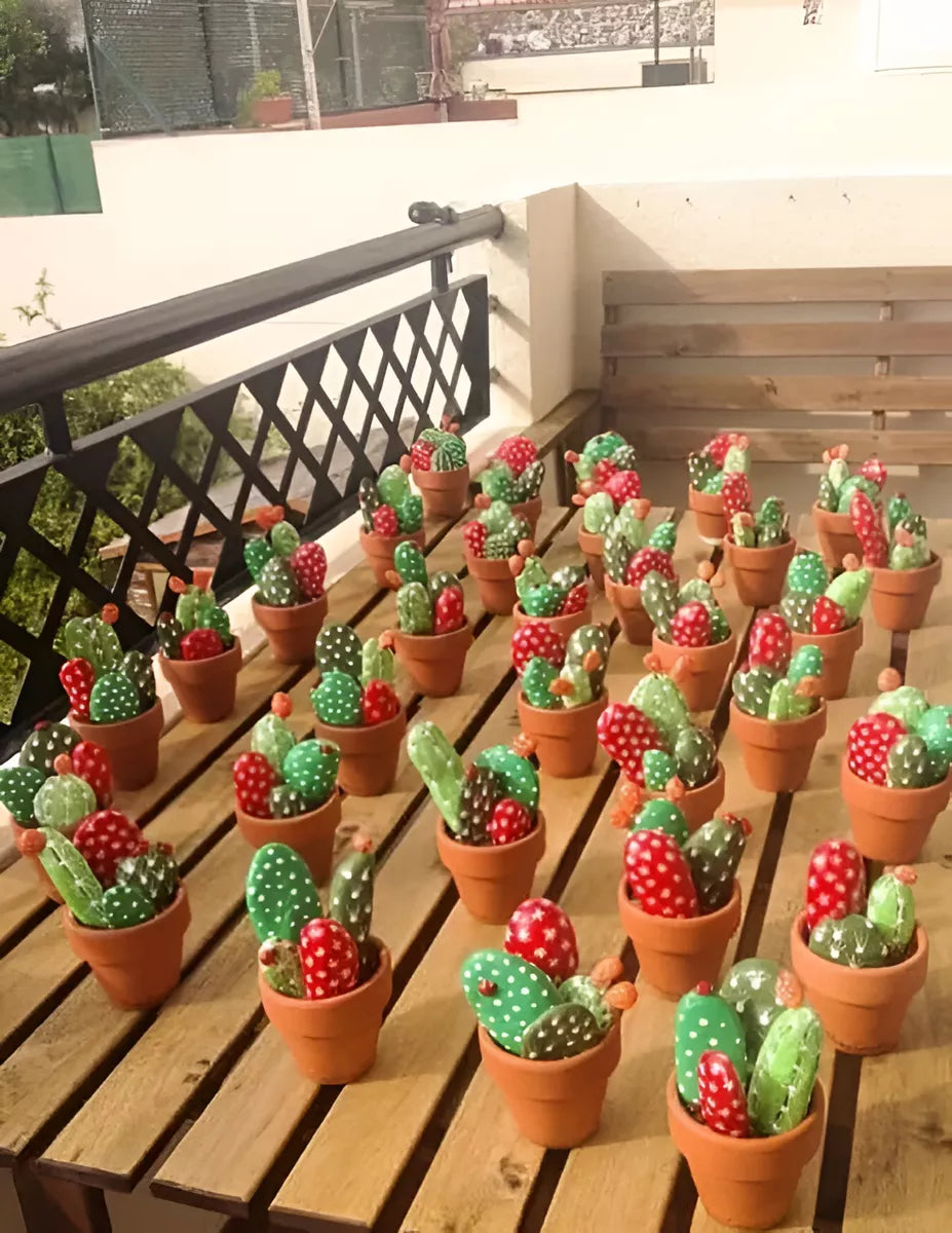 Mini Macetitas Para Suculentas O Velas Aromaticas Pack X50 U