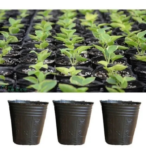 Macetas Negras 9 Cm Economicas Plantines Suculenta 1000u