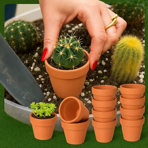 Mini Macetitas Para Suculentas O Velas Aromaticas Pack X25 U